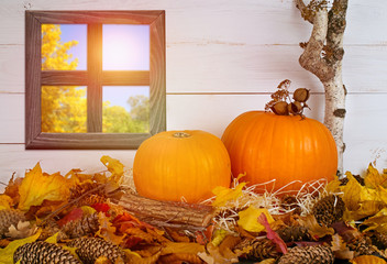 Festive still life with window and pumpkins on straw on wooden wall background for Thanksgiving