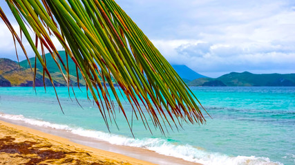 The Caribbean tropical beach