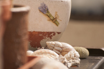 Decoration from shells