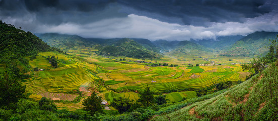 Rice fields on terraced with wooden pavilion at dramatic sky in Sa Pa, YenBai, Vietnam.