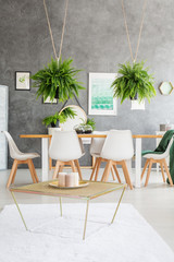 Flat interior with ferns