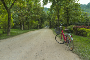 Fototapeta na wymiar Vangvieng tour by bicycle