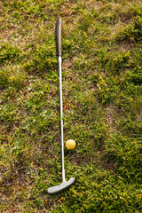 mazza da golf con pallina su erba