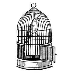 Canary bird in cage engraving vector illustration