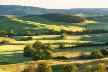 Foto op Canvas Magnificent spring rural landscape. Beautiful view of typical tuscan green wave hills, cypresses trees, magical sunlight, beautiful golden fields and meadows.Tuscany, Italy, Europe © djevelekova