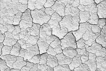 Dry cracked earth textured background.