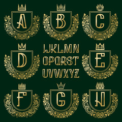 Patterned royal coat of arms kit. Golden letters and ornamental wreath frames for creating initial logo in vintage style.