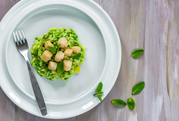 Scallops on minted pea risotto - top view