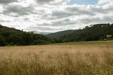 Obraz premium Fields in a cloudy day