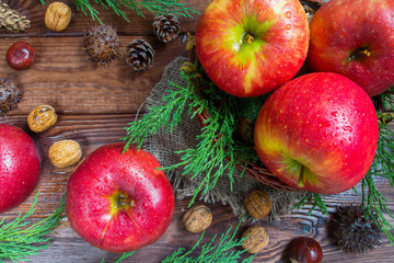 Red apples, fir branches, walnuts, chestnuts and cones on a wooden background, christmas concept, harvest, holiday and new year