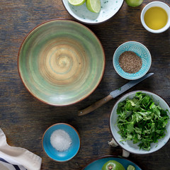 Empty plate with ingredients for cooking Mexican guacamole sauce