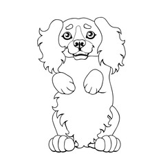 The puppy of a dog costs on hinder legs