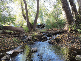 Resurgir del río