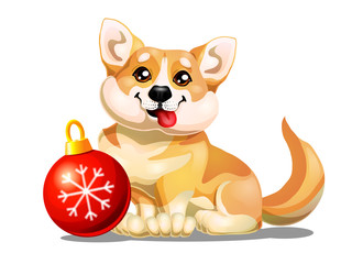 Welsh Corgi and red sphere