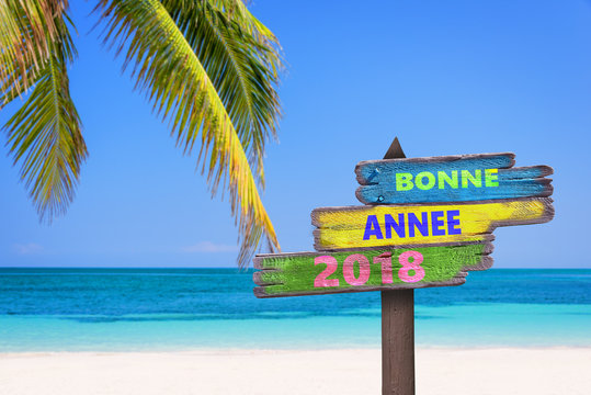 Bonne annee 2018 (meaning happy new year in french) on a colored wooden direction signs, beach and palm tree background