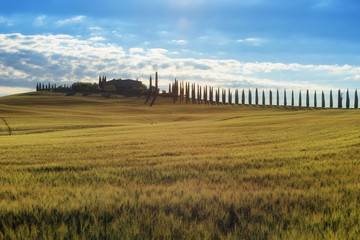 Obraz premium Magnificent spring landscape.Beautiful view of typical tuscan farm house, green wave hills, cypresses trees, hay bales, olive trees, beautiful golden fields and meadows.Tuscany, Italy, Europe