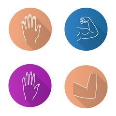 Obraz premium Body parts flat linear long shadow icons set