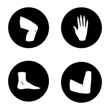 Human body parts glyph icons set
