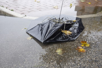 broken umbrella in the puddle © robypangy