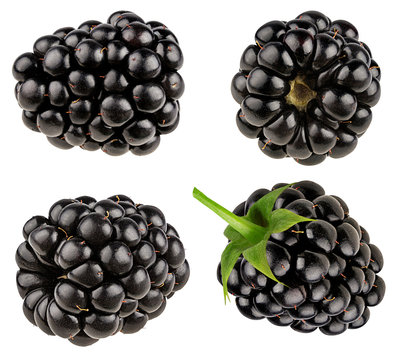Blackberry isolated on white background clipping path