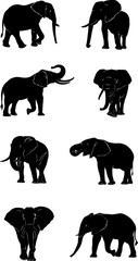 elephant, figure, vector, graphic, image