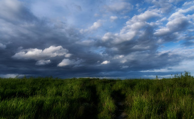 Fototapeta na wymiar Beautiful dramatic sky with dark clouds over a field with green grass