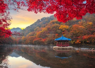 Poster Autumn Maple in Naejangsan National Park, Zuid-Korea © Atakorn