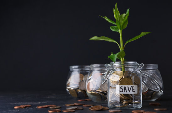 Plant growing on coins in glass jar