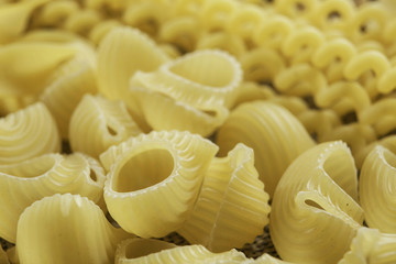 Types of pasta