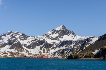 Obraz premium South Georgia Grytviken landscape
