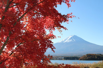 富士山と紅葉（Mt. Fuji and autumn leaves)