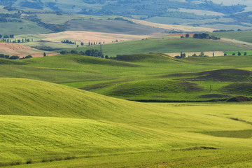 Fototapeta na wymiar Magnificent spring rural landscape. Beautiful view of typical tuscan green wave hills, cypresses trees, magical sunlight, beautiful golden fields and meadows.Tuscany, Italy, Europe