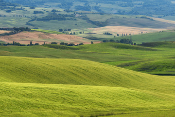 Fototapeta na wymiar Magnificent spring rural landscape. Beautiful view of typical tuscan green wave hills, cypresses trees, magical sunlight, beautiful golden fields and meadows.Tuscany, Italy, Europe