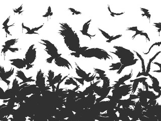 flock of birds in black