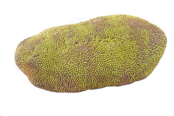 fresh jackfruit isolated