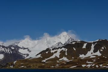 South Georgia Grytviken landscape