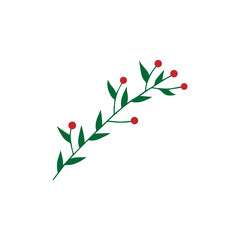 Hand drawn christmas mistletoe branch, vector illustration drawing, isolated on white background.