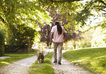 Rear View Of Senior Man Walking With Pet Bulldog In Countryside