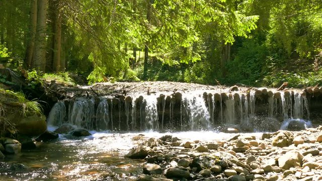 4K. Mountain  stream  in wood  with  sunshine. Landscape