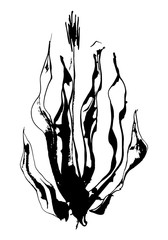 Vector ink painting flower. Grunge style. Black hand drawn illustration.