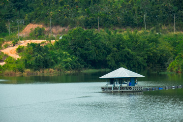Water control station on the green swamp in the nature.
