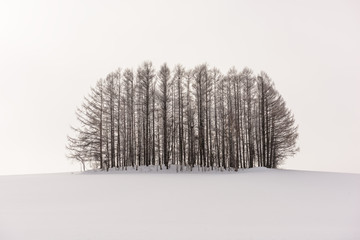 Biei, Hokkaido, Japan