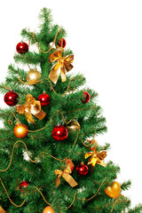 Fototapeta na wymiar Christmas Tree isolated on white background