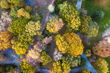 Aerial view of a park in autumn
