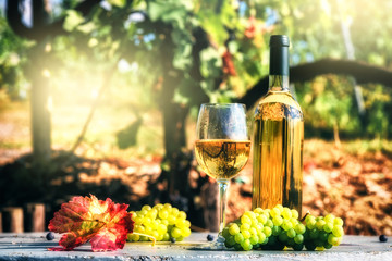 Bottle and full glass of white wine over vineyard background. Wine tasting concept - 180865729