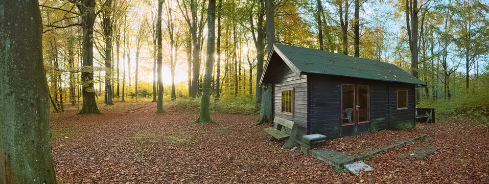 Fototapeta Hunting lodge in the protected landscape Naturwald Busdorf in Mecklenburg-Vorpommern, Germany