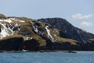 Penguine colony on South Georgia