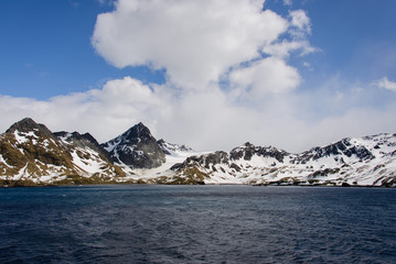 South Georgia landscape