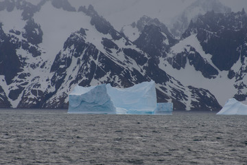 South Georgia landscape