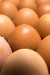 egg isolated on white background